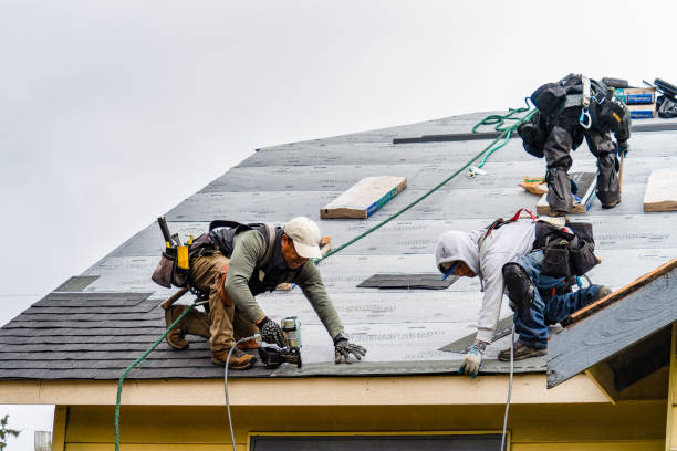 Professional Storm Damage Roof Repair technician working in Hightstown, NJ